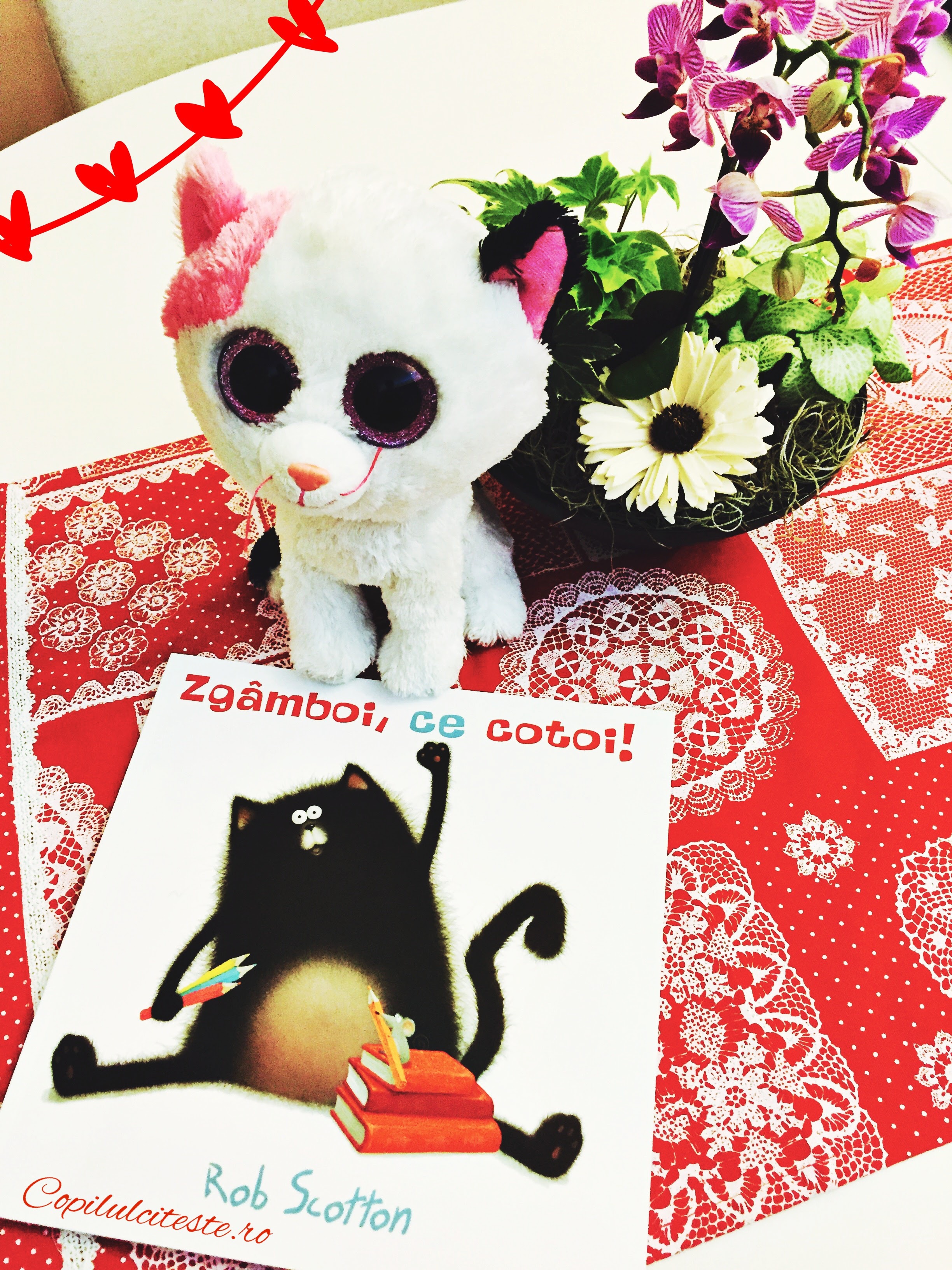 Processed with Rookie Cam